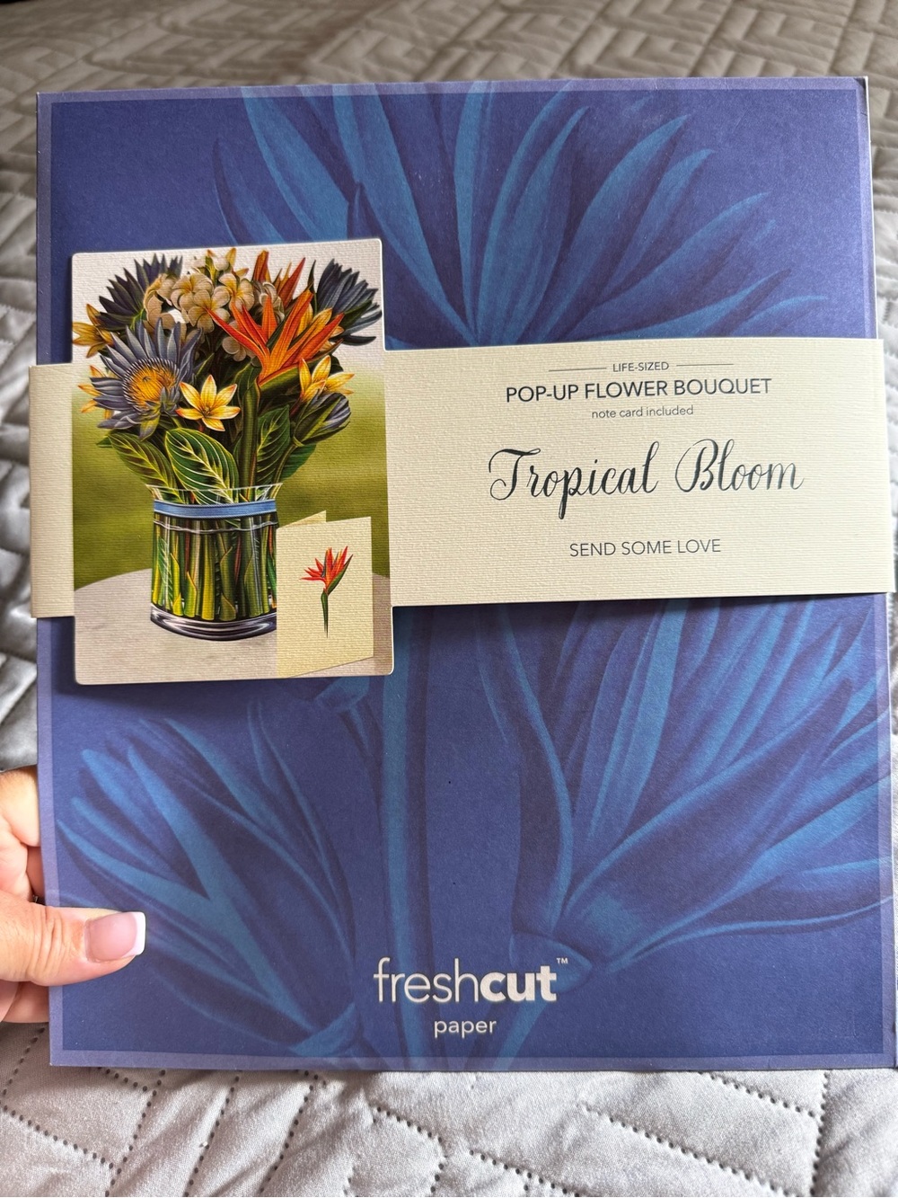 FreshCut Tropical Bloom Pop-Up Flower Bouquet — Blue Packaging